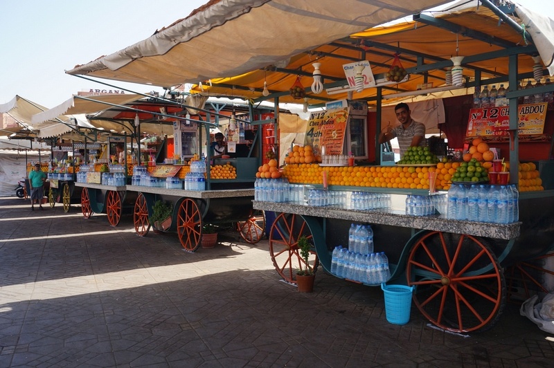 Intrepid North Morocco tour review