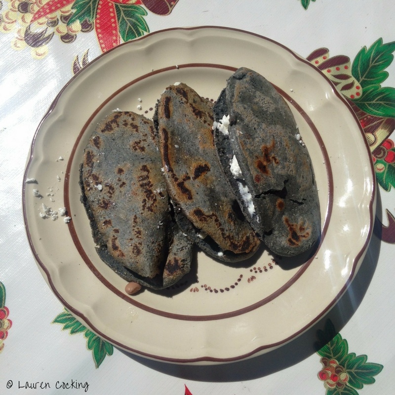Mexico monarch butterfly tour review