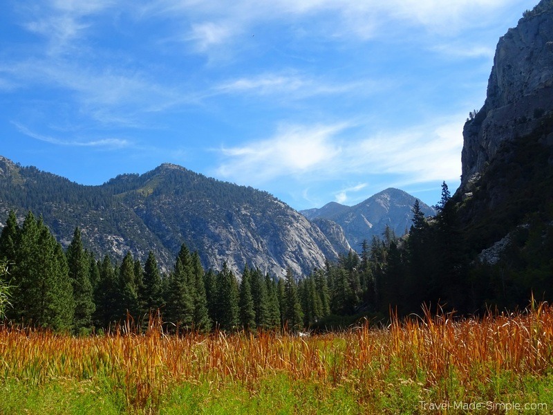 best western US road trip itinerary - Kings Canyon meadow