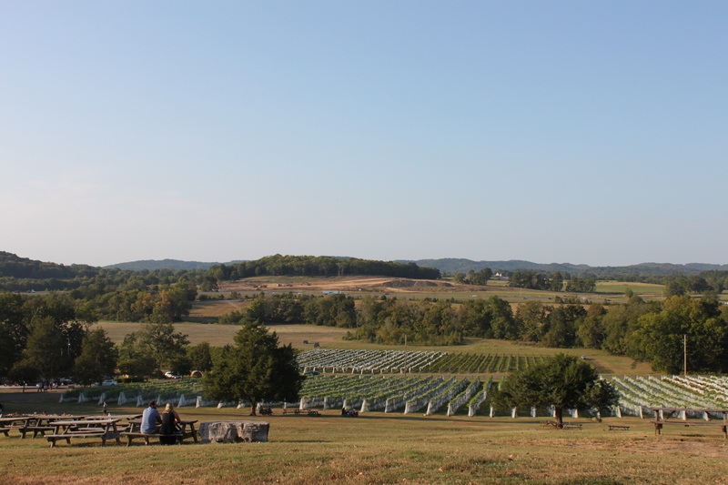 day trips from Nashville - Arrington Vineyard
